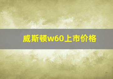 威斯顿w60上市价格