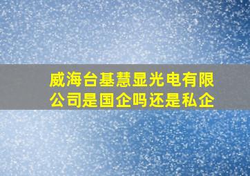 威海台基慧显光电有限公司是国企吗还是私企