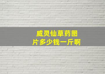 威灵仙草药图片多少钱一斤啊