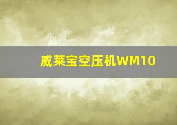 威莱宝空压机WM10