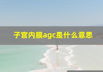 子宫内膜agc是什么意思