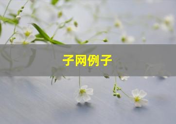 子网例子