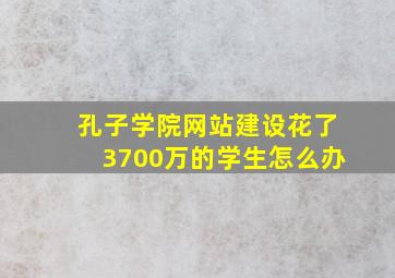 孔子学院网站建设花了3700万的学生怎么办