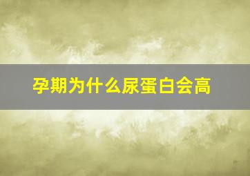 孕期为什么尿蛋白会高