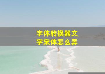 字体转换器文字宋体怎么弄