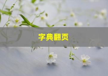 字典翻页