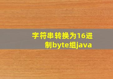 字符串转换为16进制byte组java