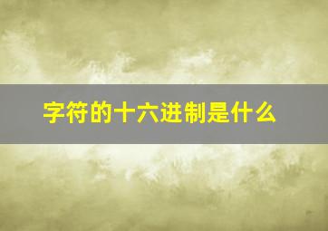 字符的十六进制是什么