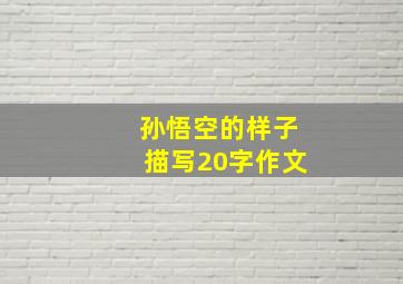 孙悟空的样子描写20字作文