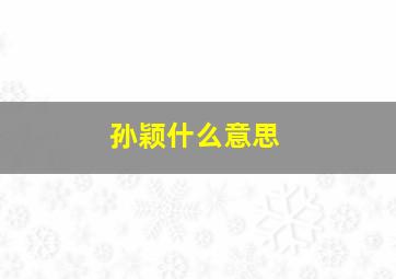 孙颖什么意思