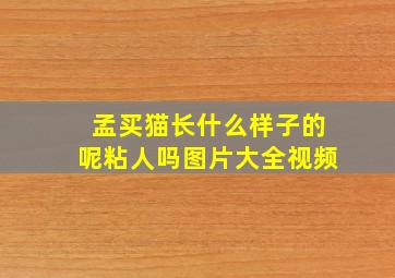 孟买猫长什么样子的呢粘人吗图片大全视频