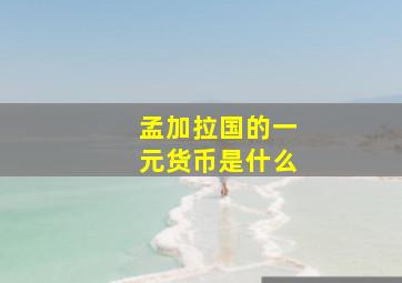 孟加拉国的一元货币是什么