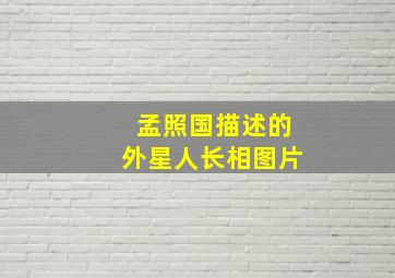 孟照国描述的外星人长相图片