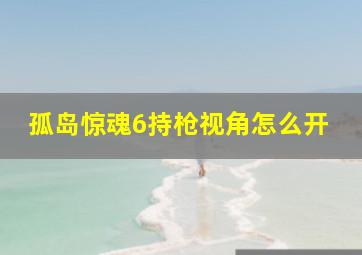 孤岛惊魂6持枪视角怎么开