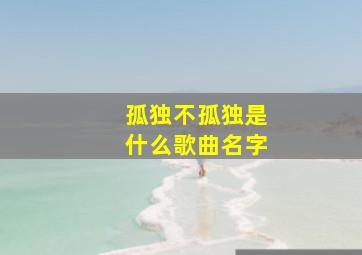 孤独不孤独是什么歌曲名字