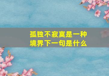 孤独不寂寞是一种境界下一句是什么