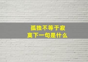 孤独不等于寂寞下一句是什么