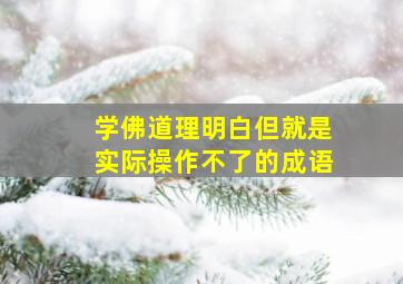 学佛道理明白但就是实际操作不了的成语