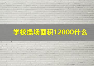 学校操场面积12000什么