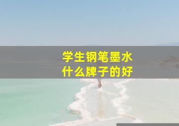 学生钢笔墨水什么牌子的好