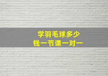 学羽毛球多少钱一节课一对一