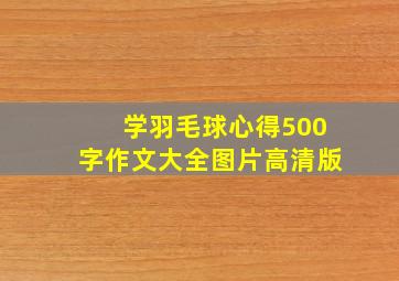 学羽毛球心得500字作文大全图片高清版