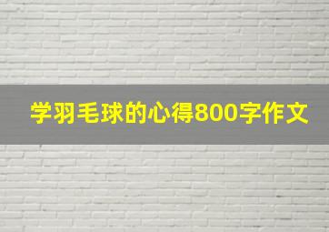 学羽毛球的心得800字作文