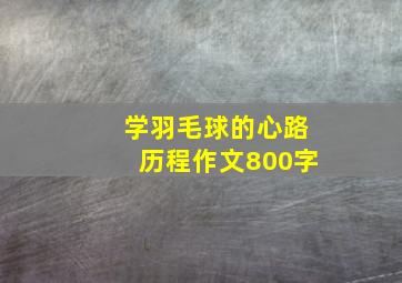 学羽毛球的心路历程作文800字