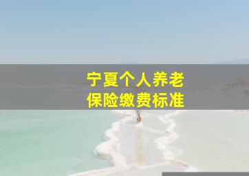 宁夏个人养老保险缴费标准