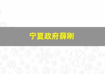 宁夏政府薛刚