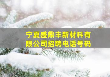 宁夏盛鼎丰新材料有限公司招聘电话号码