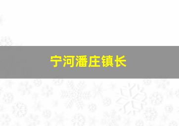 宁河潘庄镇长