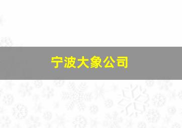 宁波大象公司