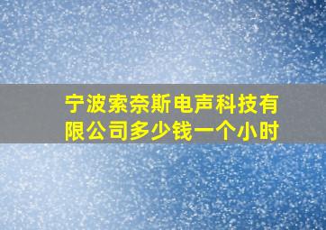 宁波索奈斯电声科技有限公司多少钱一个小时