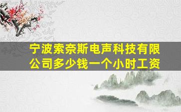 宁波索奈斯电声科技有限公司多少钱一个小时工资