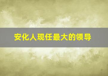 安化人现任最大的领导