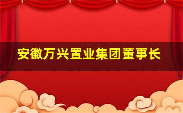 安徽万兴置业集团董事长