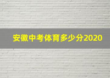 安徽中考体育多少分2020