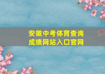 安徽中考体育查询成绩网站入口官网