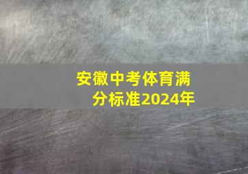 安徽中考体育满分标准2024年