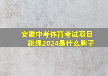 安徽中考体育考试项目跳绳2024是什么牌子