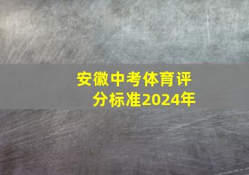 安徽中考体育评分标准2024年