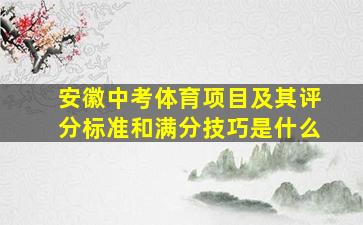 安徽中考体育项目及其评分标准和满分技巧是什么