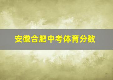 安徽合肥中考体育分数