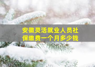 安徽灵活就业人员社保缴费一个月多少钱