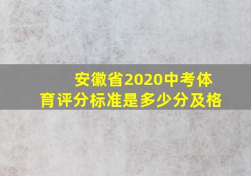 安徽省2020中考体育评分标准是多少分及格