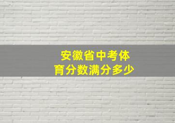 安徽省中考体育分数满分多少