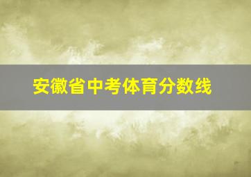 安徽省中考体育分数线