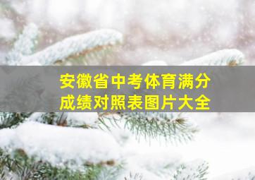 安徽省中考体育满分成绩对照表图片大全