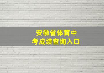 安徽省体育中考成绩查询入口